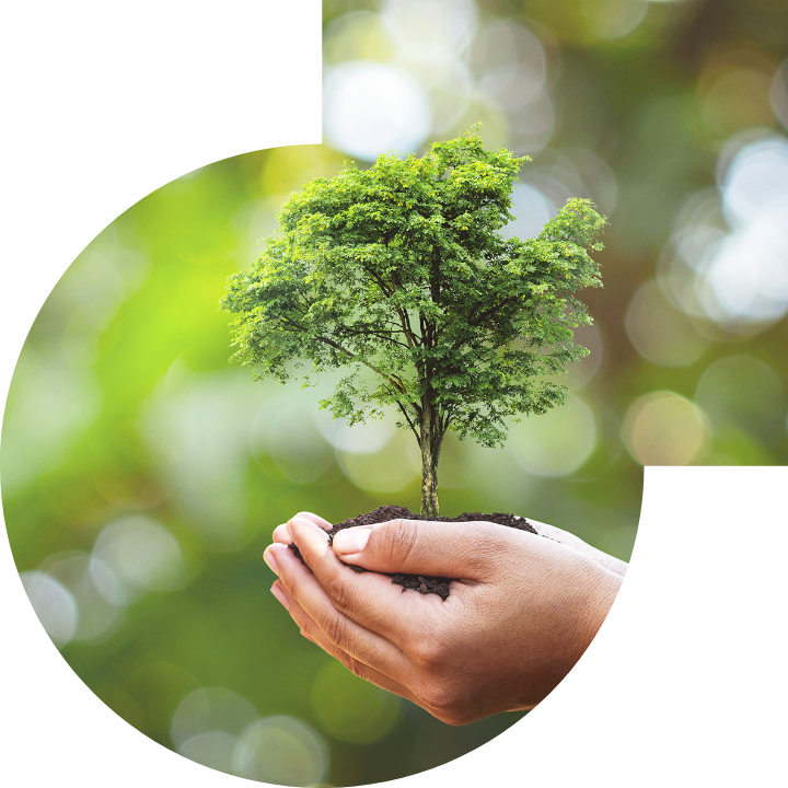 关怀人类、文化、环境与社会